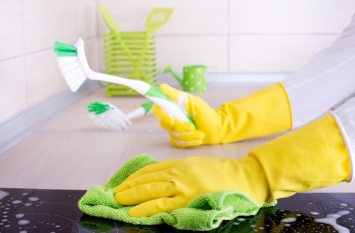 Domestic cleaning service for a local NW10 home with living room, kitchen, and hallway care