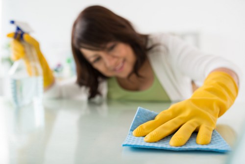 Domestic cleaner working in a kitchen and living area in NW10