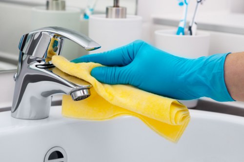 Professional domestic cleaner working in a NW10 kitchen and bathroom