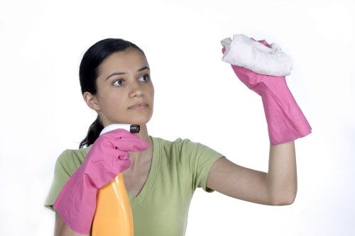 Oven cleaning service for a busy NW10 household