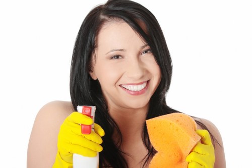 Oven cleaning service for residential and commercial customers in NW10