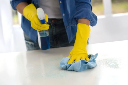 Supplier audit and due diligence documents for ethical carpet cleaning operations